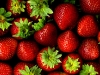 Erdbeeren