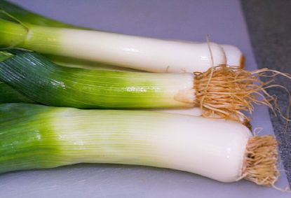 porree-stangen © Flickr / LollyKnit