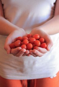 Hände voller Tomaten © flickr / Pink Sherbet Photography