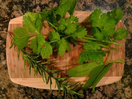 Frische Kräuter sind schmackhaft und gesund. © Flickr / Shawn Allen
