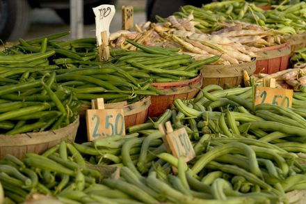 Mit Hilfe von frischen grünen Bohnen lassen sich unterschiedlichste Rezepte verwirklichen. © Flickr / ellievanhoutte