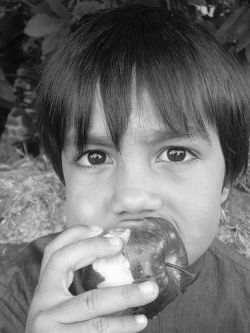 Kinder sollten mehr Obst essen. © Flickr / said&done