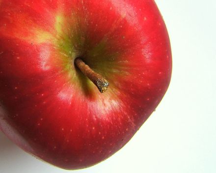 Äpfel sind gesund und beliebt. © Flickr / *Micky Äpfel sind gesund und beliebt. © Flickr / *Micky