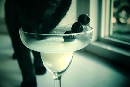 Nicht jeder verträgt Milch. © Flickr / glitter feet Nicht jeder verträgt Milch. © Flickr / glitter feet