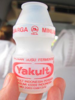 Probiotischer Joghurt unterstützt die Darmflora. © Flickr / Ån-sÅng