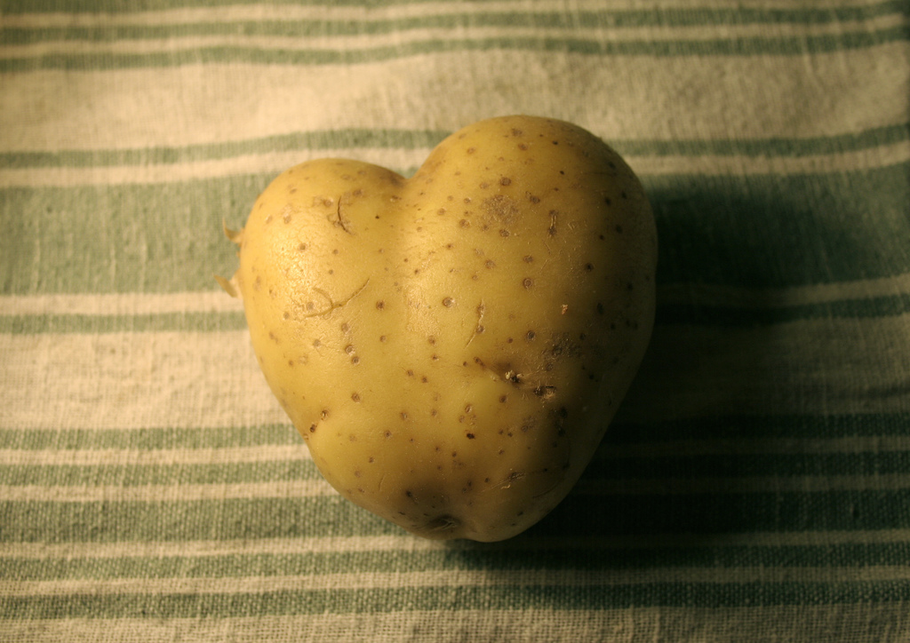 Tolle Knolle ©Flickr/: Tétine :