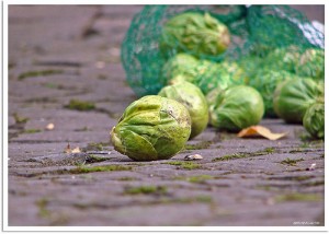 Rosenkohl / jorbasa (c) flickr