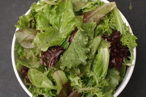 Fertigsalate: Was taugt Salat aus der Tüte oder dem Becher? -Kein Fastfood
